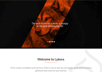 Lykora Consultancy OLD Design