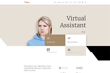 Virtual Assistant
